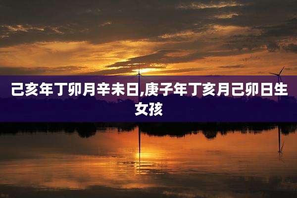 己亥年丁卯月辛未日,庚子年丁亥月己卯日生女孩