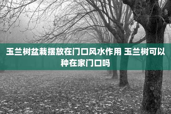 玉兰树盆栽摆放在门口风水作用 玉兰树可以种在家门口吗