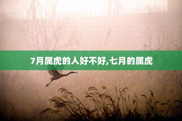 7月属虎的人好不好,七月的属虎