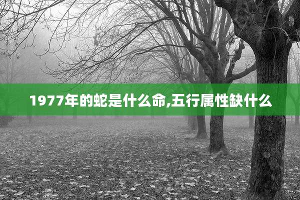 1977年的蛇是什么命,五行属性缺什么