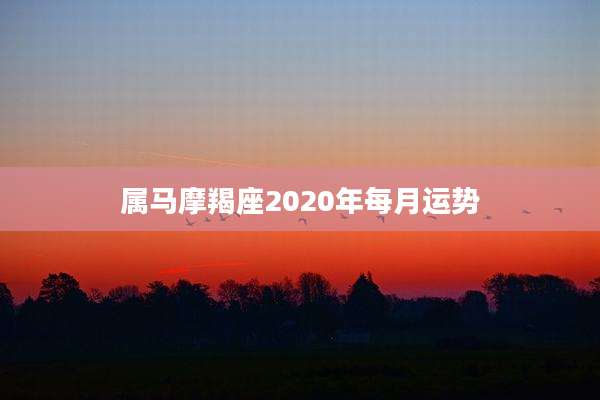 属马摩羯座2020年每月运势