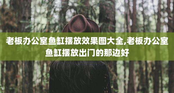 老板办公室鱼缸摆放效果图大全,老板办公室鱼缸摆放出门的那边好