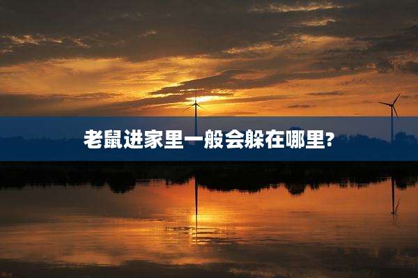 老鼠进家里一般会躲在哪里?