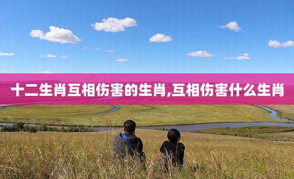 十二生肖互相伤害的生肖,互相伤害什么生肖