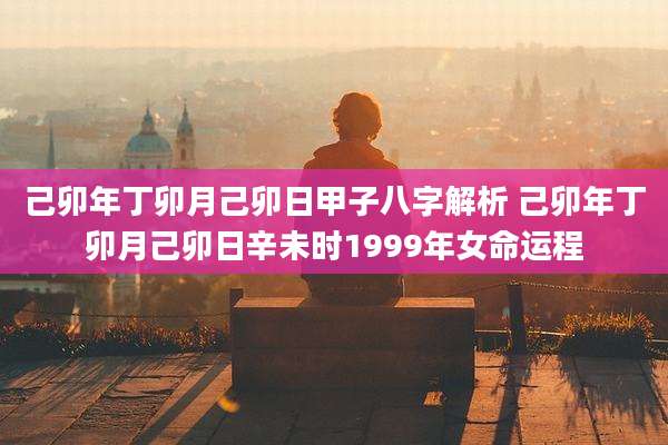 己卯年丁卯月己卯日甲子八字解析 己卯年丁卯月己卯日辛未时1999年女命运程