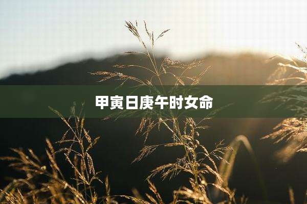 甲寅日庚午时女命