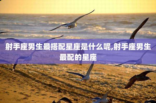 射手座男生最搭配星座是什么呢,射手座男生最配的星座