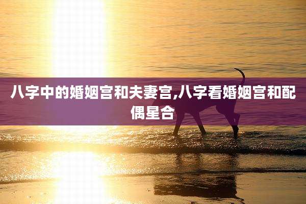 八字中的婚姻宫和夫妻宫,八字看婚姻宫和配偶星合