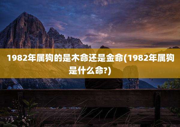 1982年属狗的是木命还是金命(1982年属狗是什么命?)
