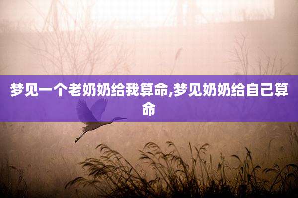 梦见一个老奶奶给我算命,梦见奶奶给自己算命