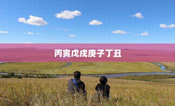 丙寅戊戌庚子丁丑