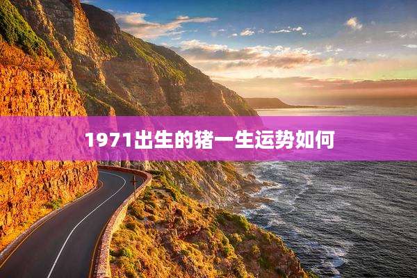 1971出生的猪一生运势如何