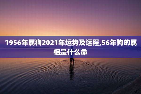 1956年属狗2021年运势及运程,56年狗的属相是什么命