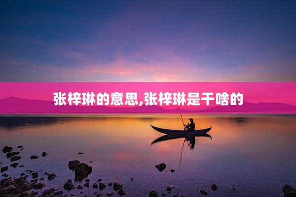 张梓琳的意思,张梓琳是干啥的