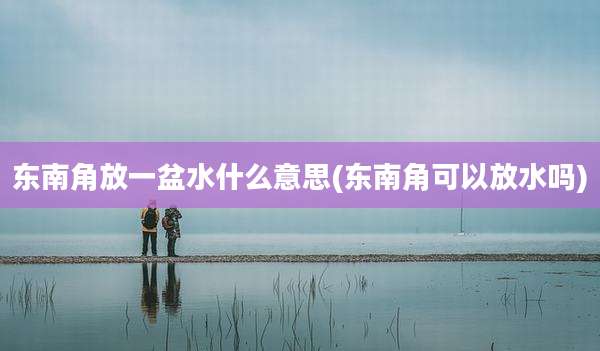 东南角放一盆水什么意思(东南角可以放水吗)