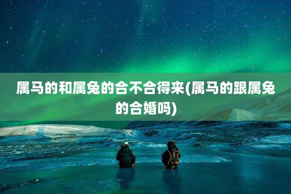 属马的和属兔的合不合得来(属马的跟属兔的合婚吗)