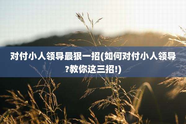 对付小人领导最狠一招(如何对付小人领导?教你这三招!)