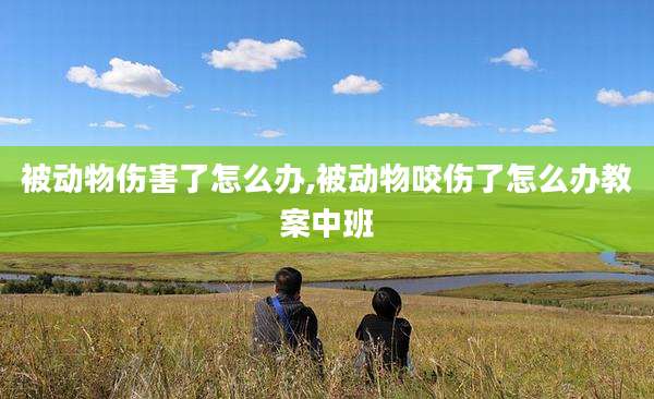 被动物伤害了怎么办,被动物咬伤了怎么办教案中班