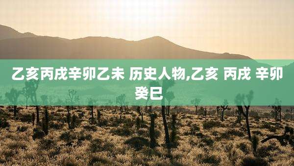 乙亥丙戌辛卯乙未 历史人物,乙亥 丙戌 辛卯 癸巳