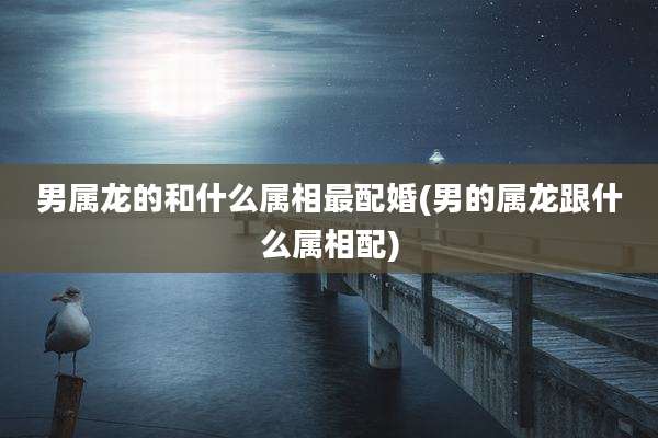 男属龙的和什么属相最配婚(男的属龙跟什么属相配)