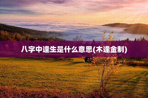 八字中逢生是什么意思(木逢金制)