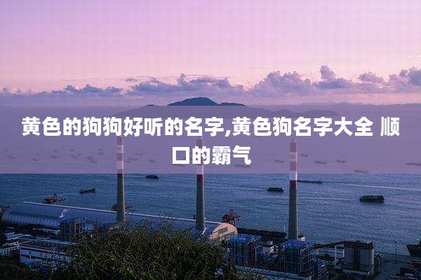 黄色的狗狗好听的名字,黄色狗名字大全 顺口的霸气