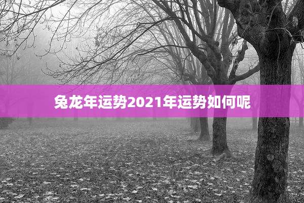 兔龙年运势2021年运势如何呢