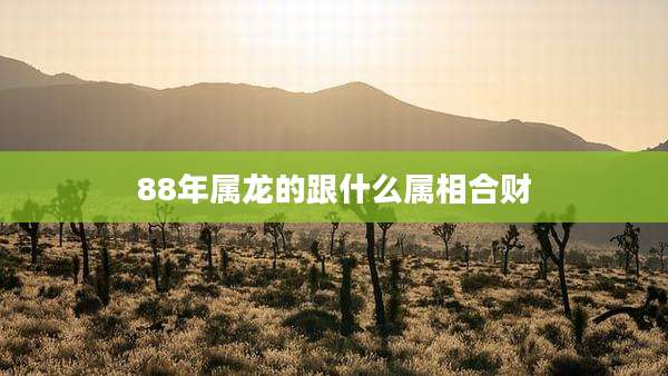 88年属龙的跟什么属相合财