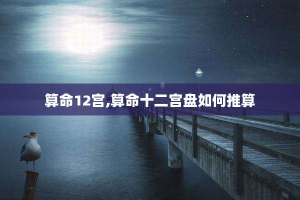 算命12宫,算命十二宫盘如何推算