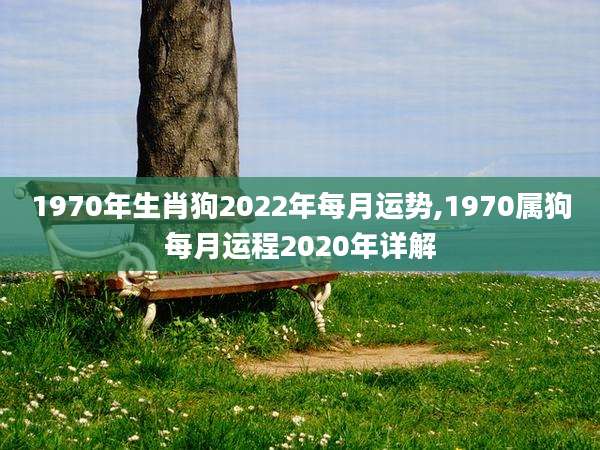 1970年生肖狗2022年每月运势,1970属狗每月运程2020年详解