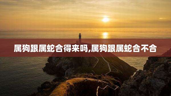 属狗跟属蛇合得来吗,属狗跟属蛇合不合