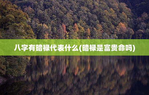 八字有暗禄代表什么(暗禄是富贵命吗)