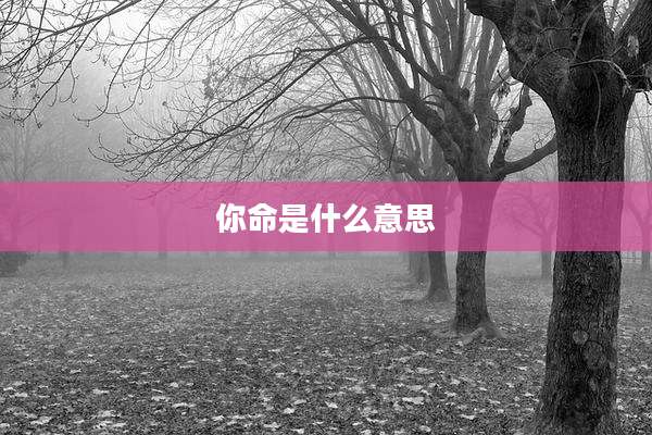 你命是什么意思