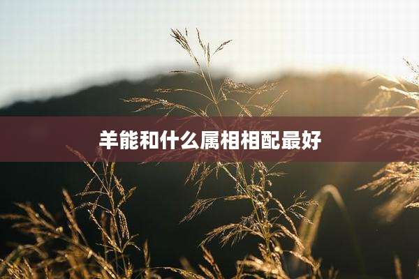 羊能和什么属相相配最好