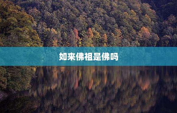 如来佛祖是佛吗