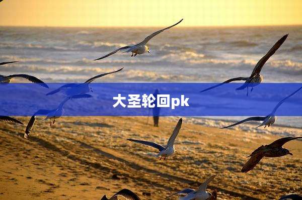 大圣轮回pk