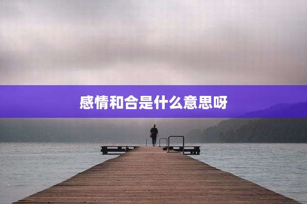 感情和合是什么意思呀