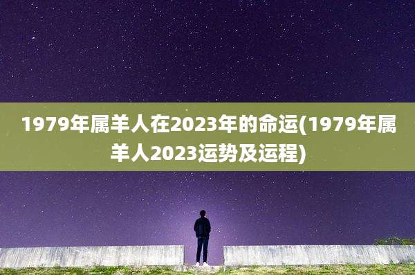 1979年属羊人在2023年的命运(1979年属羊人2023运势及运程)