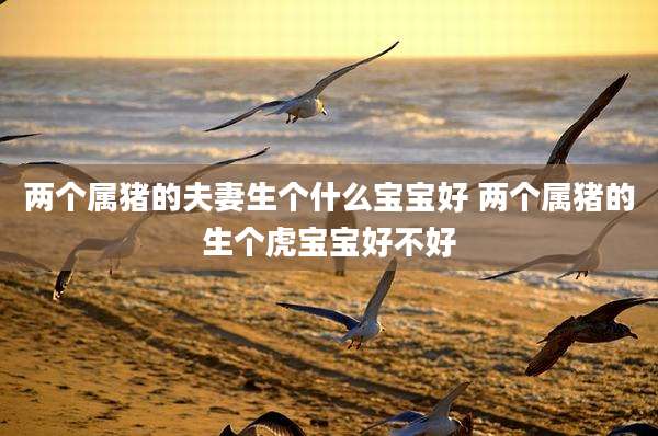 两个属猪的夫妻生个什么宝宝好 两个属猪的生个虎宝宝好不好