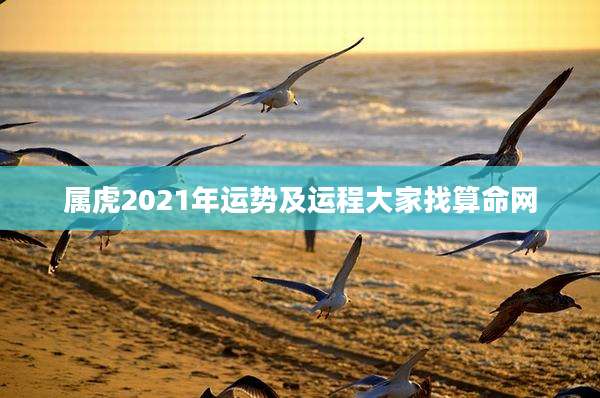 属虎2021年运势及运程大家找算命网