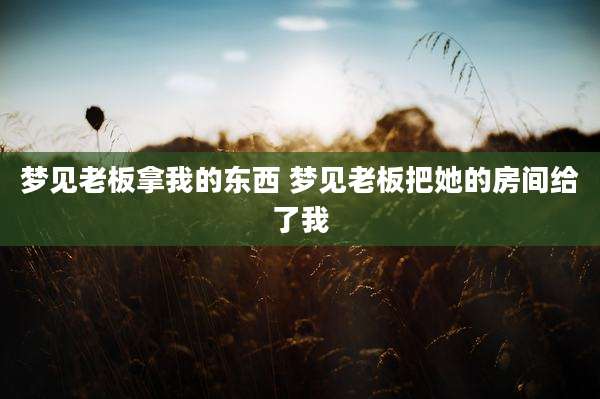 梦见老板拿我的东西 梦见老板把她的房间给了我