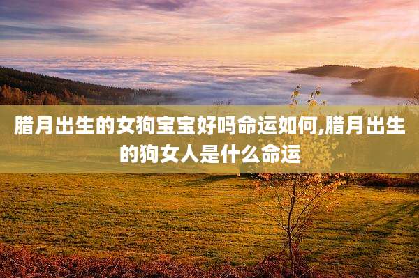 腊月出生的女狗宝宝好吗命运如何,腊月出生的狗女人是什么命运