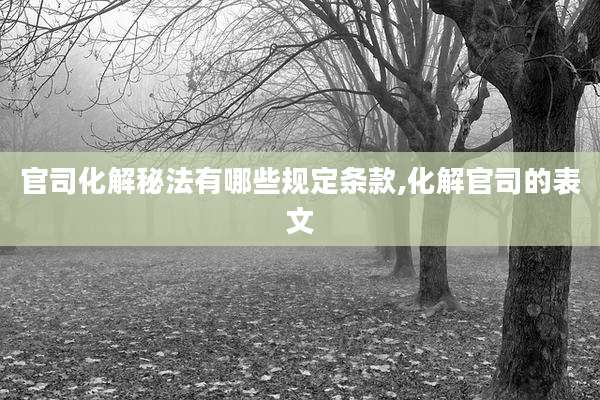 官司化解秘法有哪些规定条款,化解官司的表文