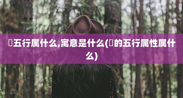 晞五行属什么,寓意是什么(晞的五行属性属什么)