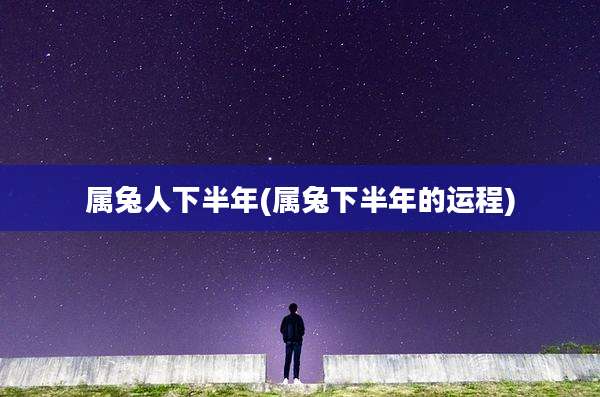 属兔人下半年(属兔下半年的运程)
