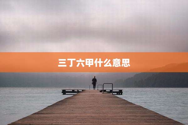 三丁六甲什么意思