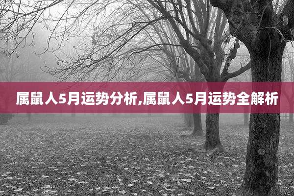 属鼠人5月运势分析,属鼠人5月运势全解析