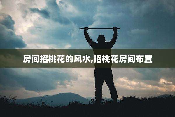 房间招桃花的风水,招桃花房间布置