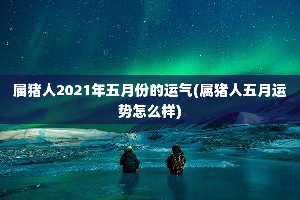 属猪人2021年五月份的运气(属猪人五月运势怎么样)