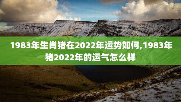 1983年生肖猪在2022年运势如何,1983年猪2022年的运气怎么样